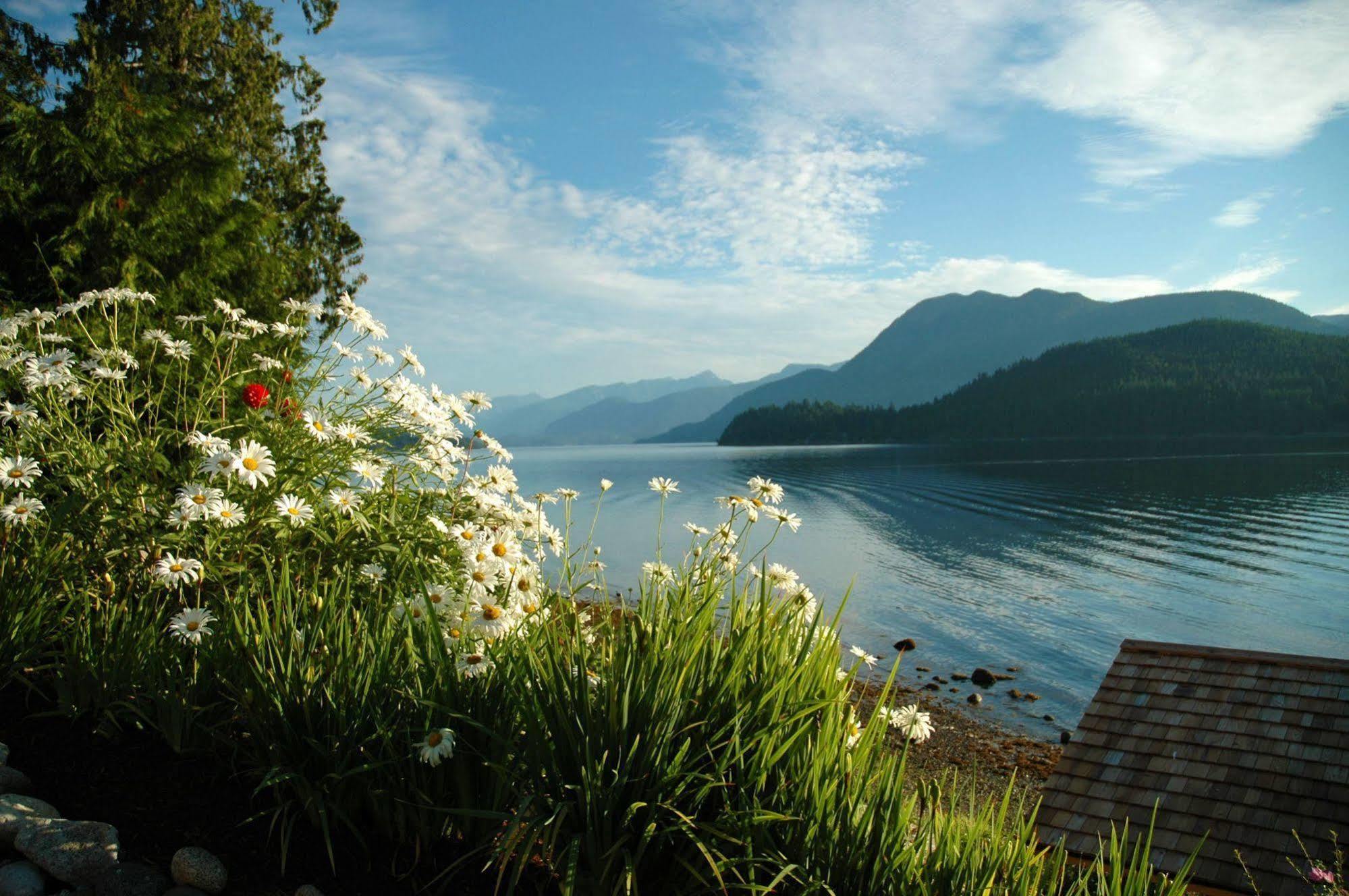 At The Shore Bed And Breakfast Sechelt Extérieur photo