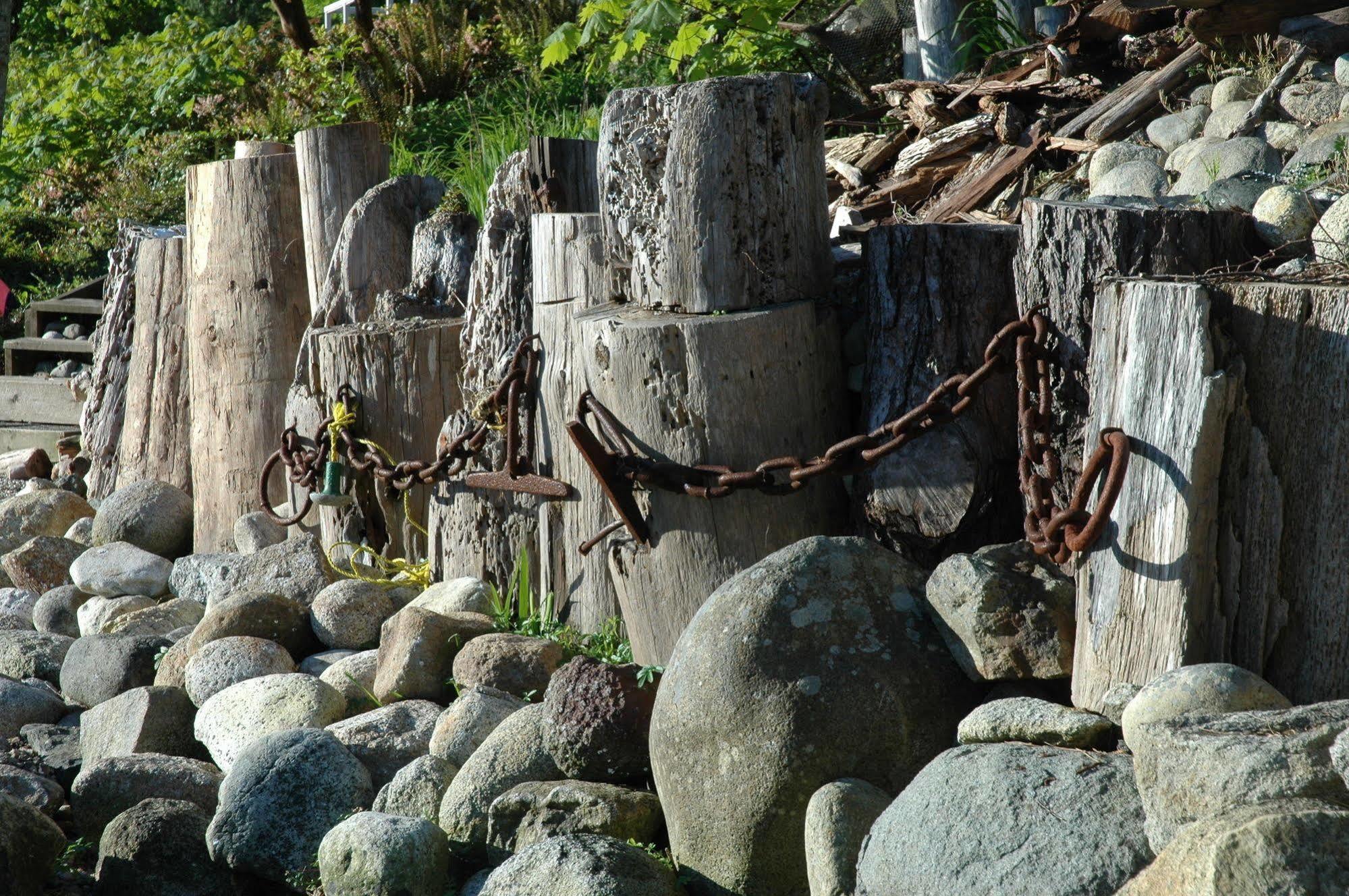 At The Shore Bed And Breakfast Sechelt Extérieur photo